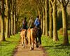 Reiten