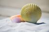 Der Strand